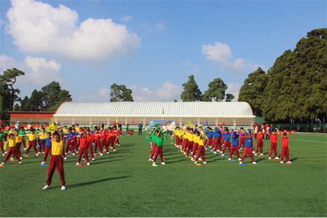 Junior School Sports 2025