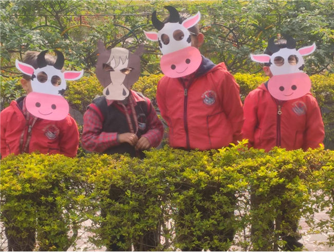 Pre-Primary Classes Activities - November 2025