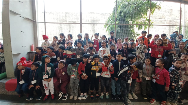 Pre-Primary Classes Activities - November 2025