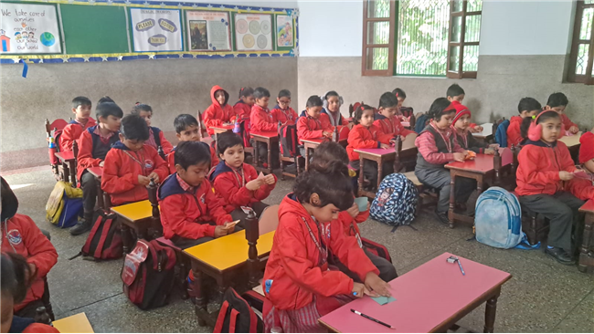 Pre-Primary Classes Activities - November 2025