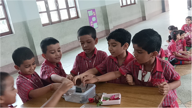 Pre-Primary Classes Activities - July 2025