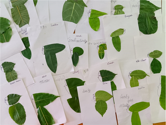 Pre-Primary Classes Activities - July 2025