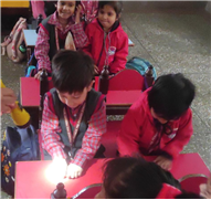 Pre-Primary Classes Activities - November 2025