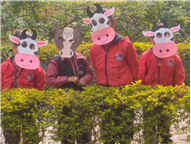 Pre-Primary Classes Activities - November 2025