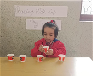 Pre-Primary Classes Activities - November 2025