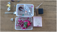 Pre-Primary Classes Activities - July 2025