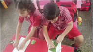 Pre-Primary Classes Activities - July 2025