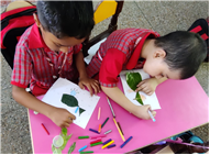Pre-Primary Classes Activities - July 2025