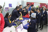 EXHIBITION OF PHYSICS WORKING MODELS BY STUDENTS OF CLASS 9-C