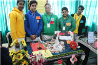 EXHIBITION OF PHYSICS WORKING MODELS BY STUDENTS OF CLASS 9-C