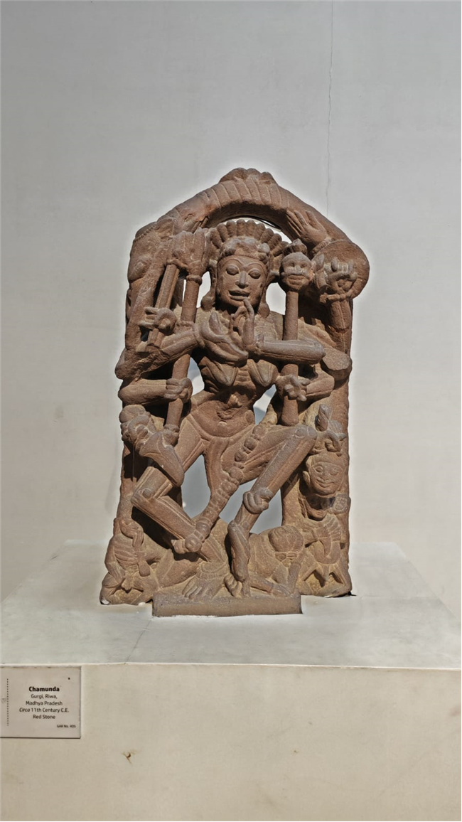 Visited the Allahabad Museum