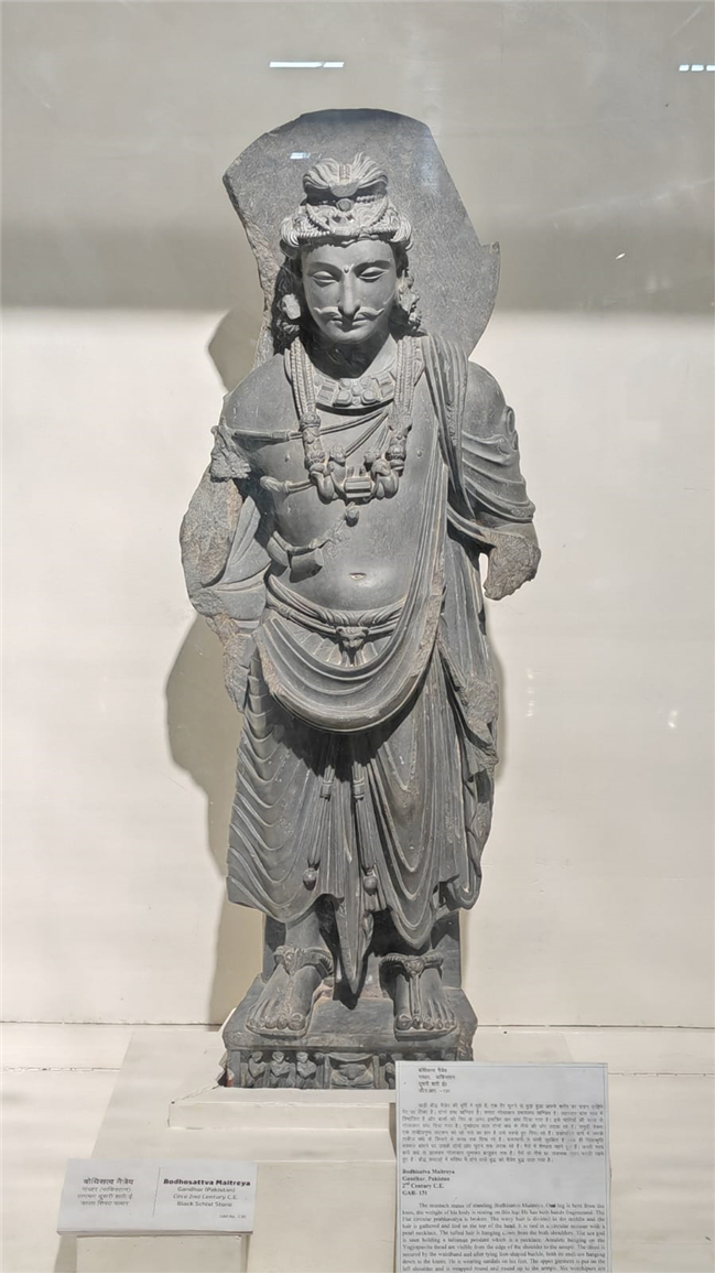 Visited the Allahabad Museum