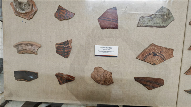 Visited the Allahabad Museum