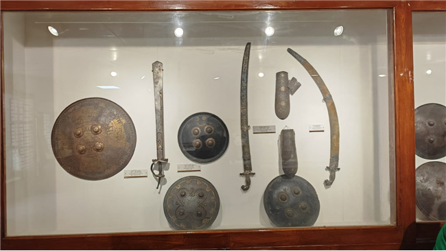 Visited the Allahabad Museum