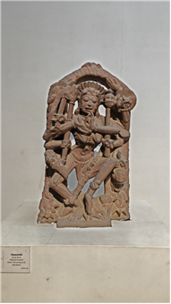 Visited the Allahabad Museum