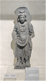 Visited the Allahabad Museum