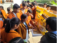 Industrial Visit for Classes 11 & 12 (Comm. & Hum.)