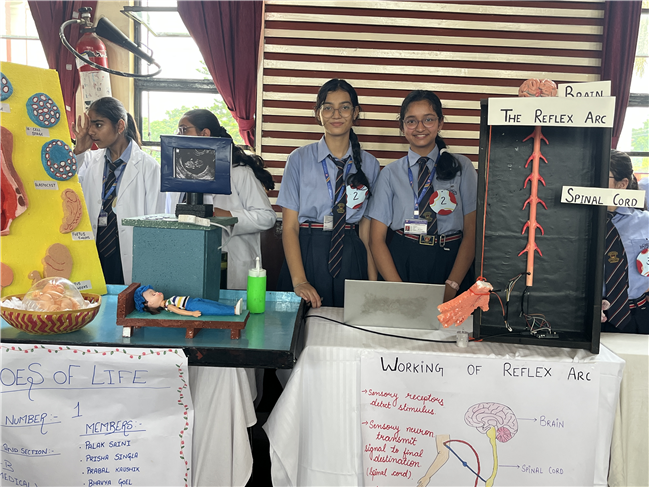 Science Exhibition 2025