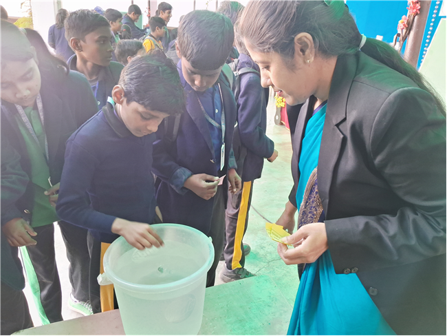 Children's Day Fun - Fiesta: 14th November 2025