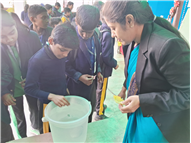 Children's Day Fun - Fiesta: 14th November 2025