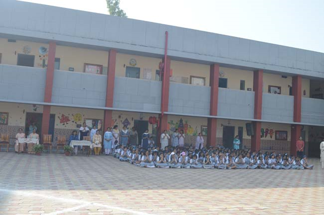 Celebrating International Day of Peace