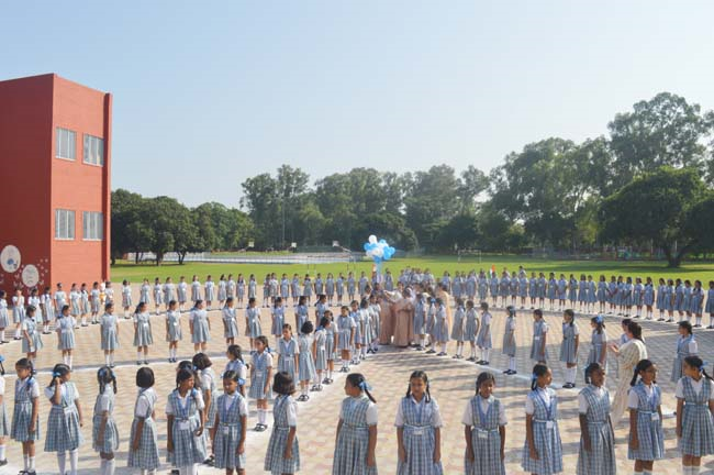 Celebrating International Day of Peace