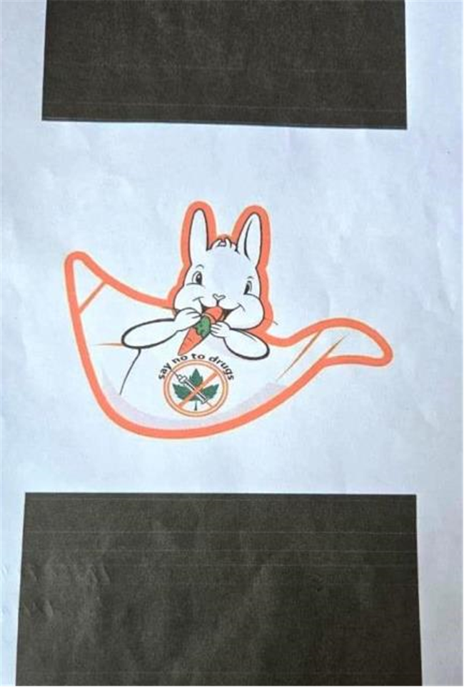 State Level Mascot Competition, 2025 (Prahari Club)