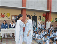 Celebrating International Day of Peace