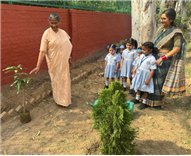 Roots of Love, Leaves of Hope