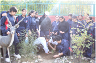 NSS CAMP  (December 22–28, 2024)