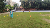 Motor skill race