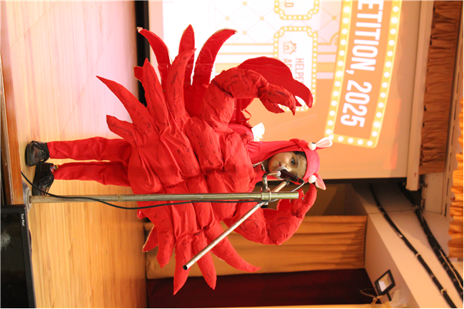 Fancy Dress Competition 2025