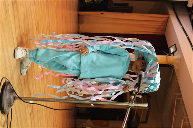 Fancy Dress Competition 2025