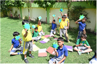 Green Day Activity