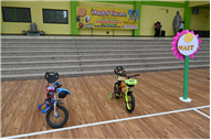 Fun on Wheels