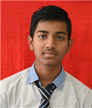 vedansh bhadauria