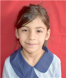 aamena shaqib