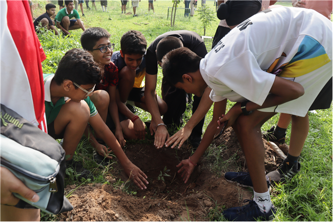 MARATHON AND SAPLING PLANTING EVENT