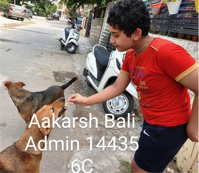 Good Deeds by Class 6 Students.