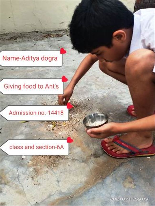 Good Deeds by Class 6 Students.