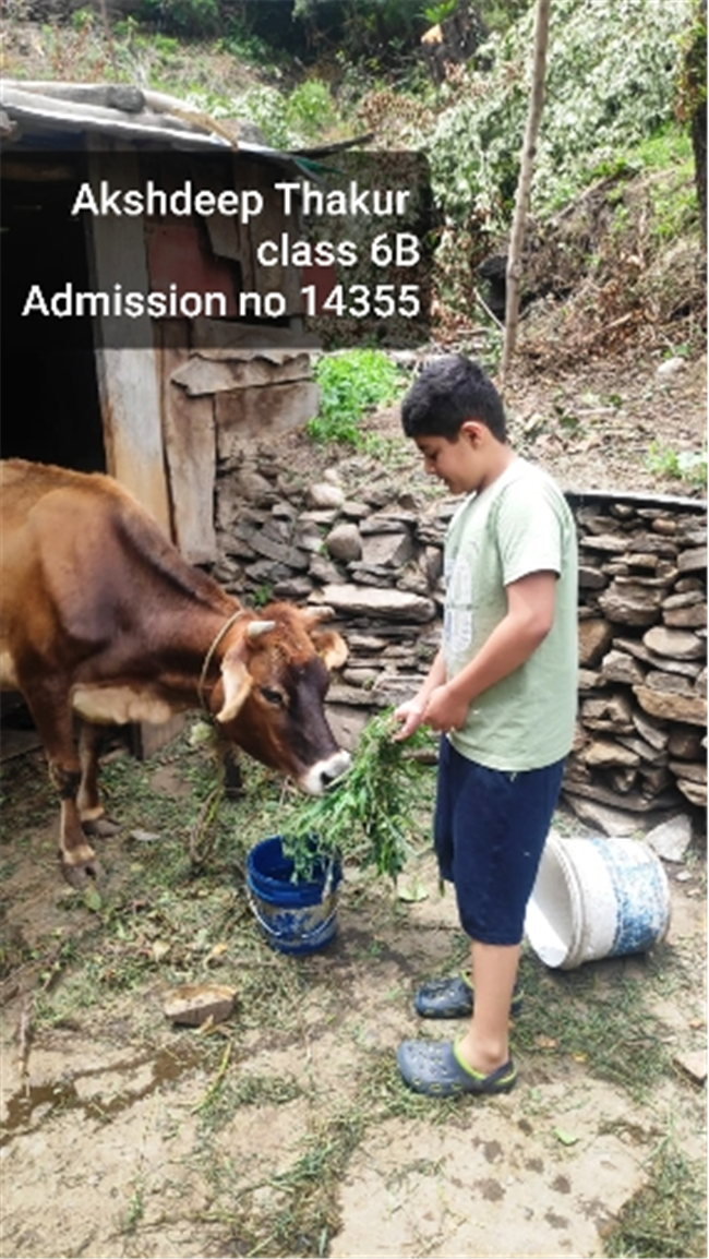 Good Deeds by Class 6 Students.