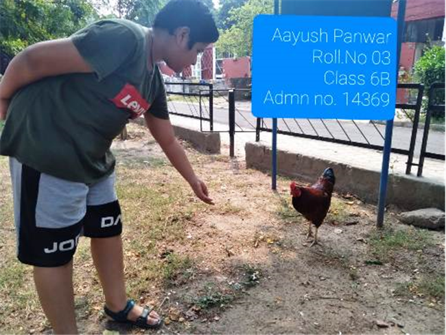 Good Deeds by Class 6 Students.
