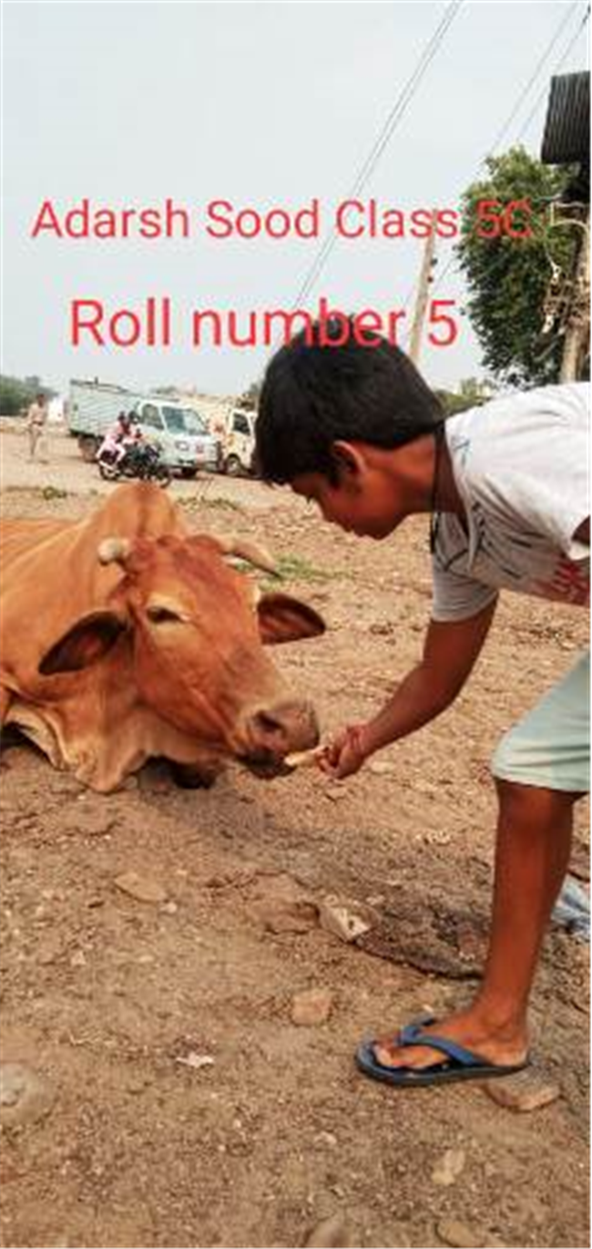 Good Deeds by Class 6 Students.