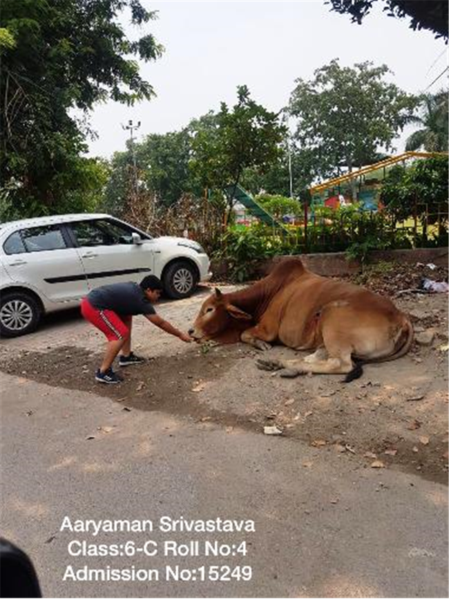 Good Deeds by Class 6 Students.