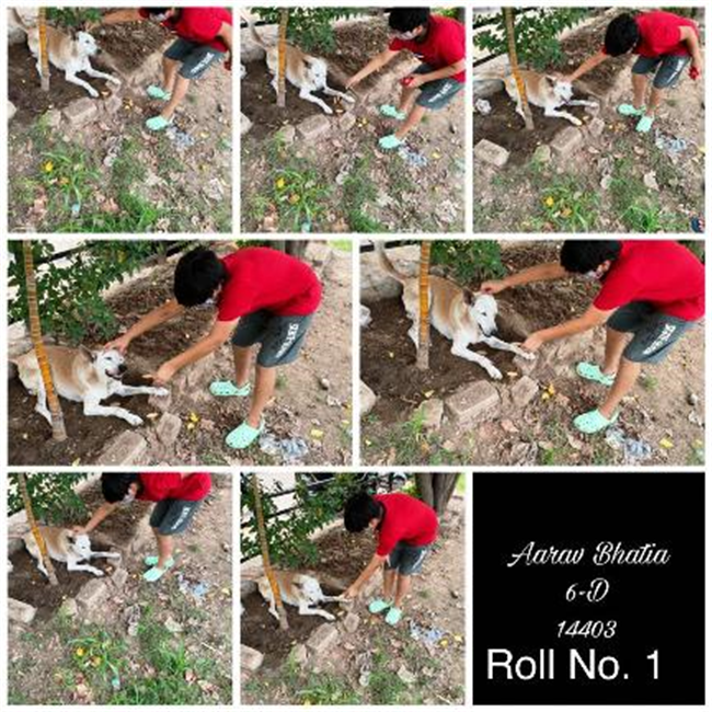 Good Deeds by Class 6 Students.