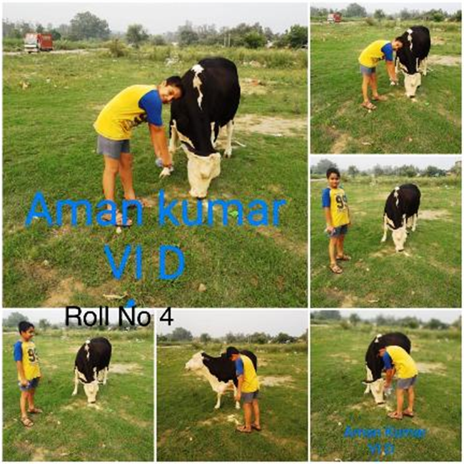 Good Deeds by Class 6 Students.