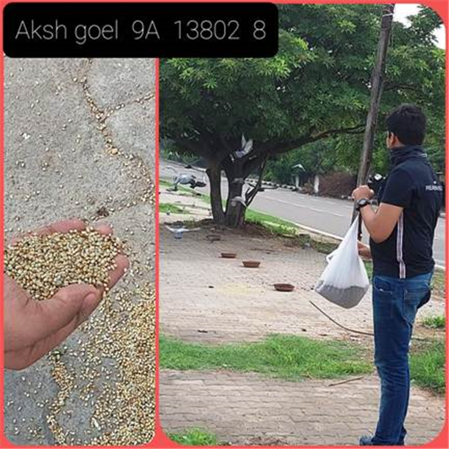 Good Deeds by Class 9 Students.