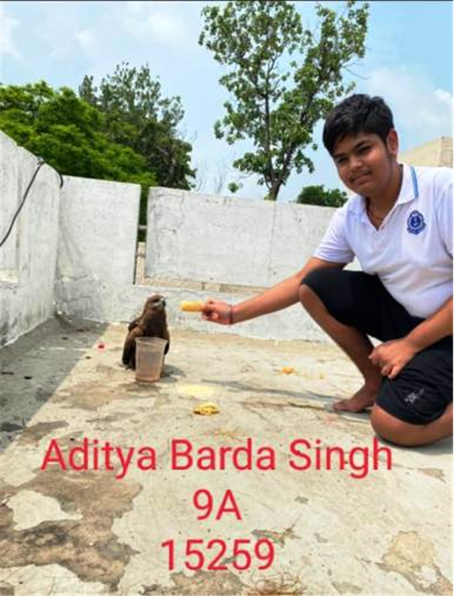 Good Deeds by Class 9 Students.
