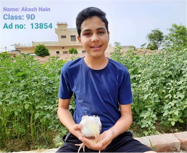 Good Deeds by Class 9 Students.