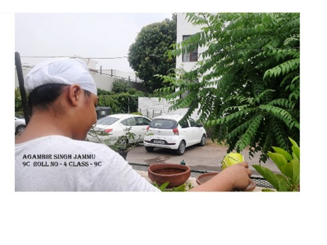 Good Deeds by Class 9 Students.